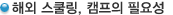 해외 스쿨링, 캠프의 필요성